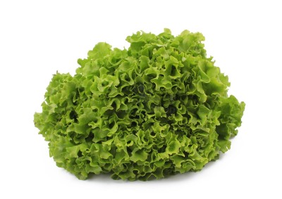 Салат романо 1 кг - купить в Чандаре