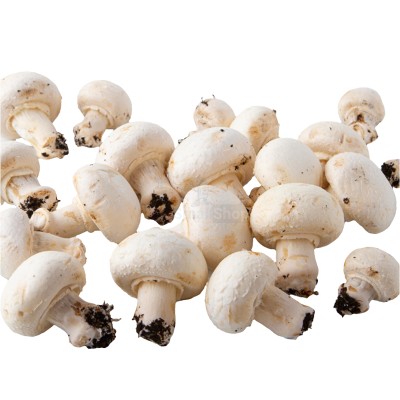 Шампиньоны свежие 500 г - купить в Чандаре